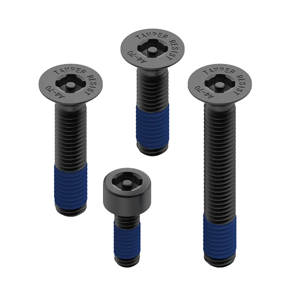 Accessory - Anti-Theft Screw Kit